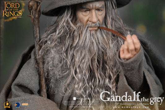 Gandalf the Grey - Lord of the Rings