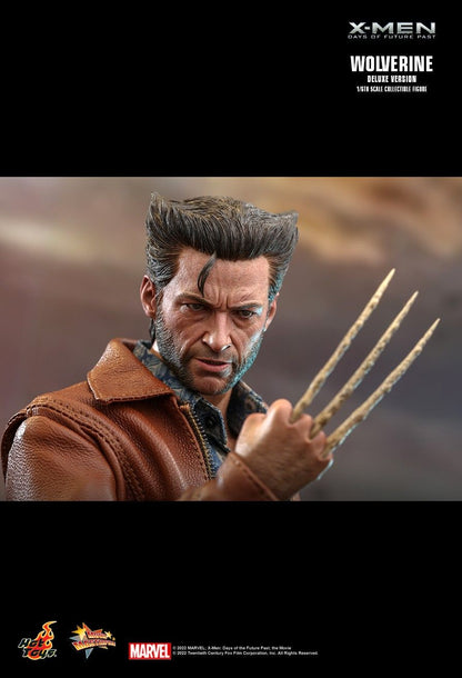 Wolverine - X-Men: Days of Future Past